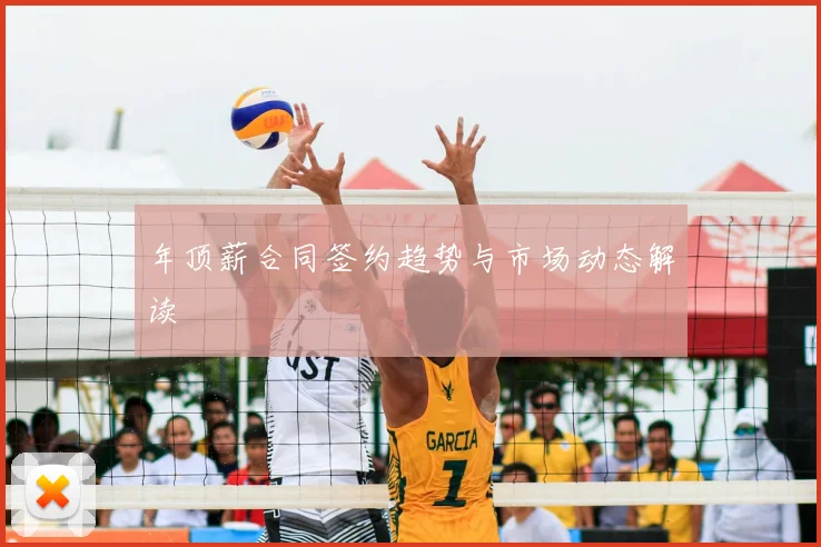 年顶薪合同签约趋势与市场动态解读