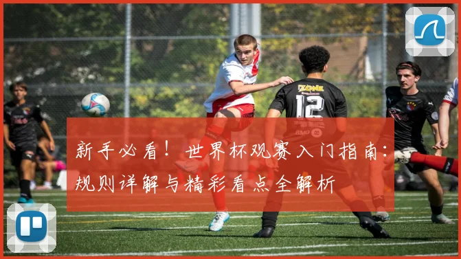 新手必看!世界杯观赛入门指南:规则详解与精彩看点全解析